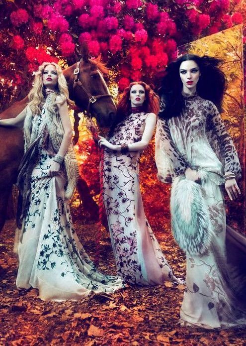 La publicité de Roberto Cavalli automne/hiver 2011